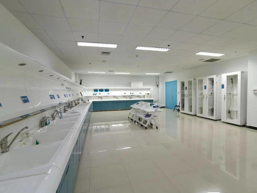 技术、服务、设备与环境 构建完善的综合技术服务生态